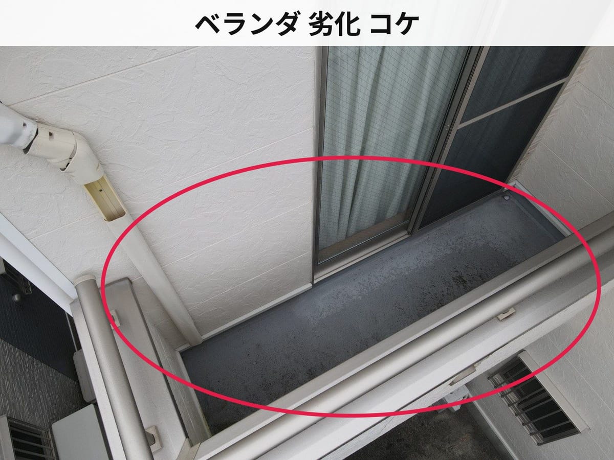 ベランダ 劣化 コケ