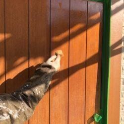 木製玄関扉 塗装中