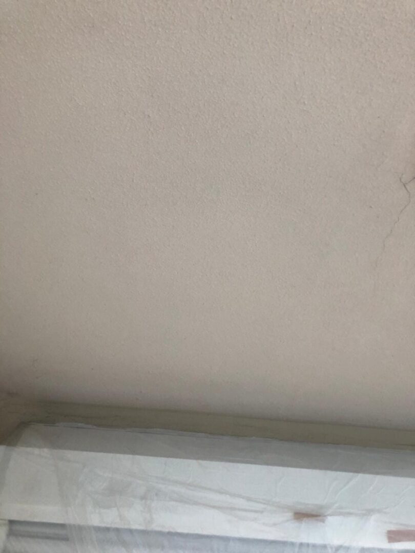 付帯部 軒天 現状